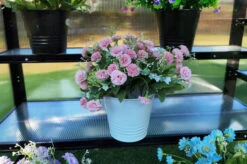 OUTFLEXX Gewächshaus, Schwarz, Alu/Polycarbonat, 186x61x86cm, Pulverbeschichtet -Kettler Verkaufs-Shop 22271 9.jpg