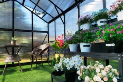 OUTFLEXX Gewächshaus, Schwarz, Alu/Polycarbonat, 433x250x228cm, Pulverbeschichtet -Kettler Verkaufs-Shop 22280 8.jpg