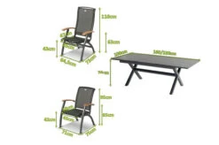 HARTMAN Xanadu / Da Vinci Sitzgruppe, Xerix/natur, Alu/Teak/Glaskeramik, 2 Dining Sessel, 6 Multipo, 160/220x100cm, FSC-Teak Armlehnen -Kettler Verkaufs-Shop 23291 5.jpg