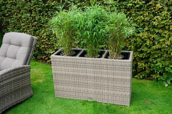 Ploß Rabida Pflanzgefäß, Champagner-meliert, Polyrattan, 113x40x70 Cm, Mit 3 Kunststoffeinsätzen 4 Ploß Rabida Pflanzgefäß, Champagner-meliert, Polyrattan, 113x40x70 Cm, Mit 3 Kunststoffeinsätzen – Bild 2