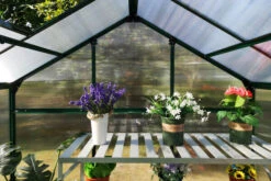 OUTFLEXX Gewächshaus, Grün, Alu/Polycarbonat, 190x125x203 Cm, Pulverbeschichtet -Kettler Verkaufs-Shop 4 20085.jpg