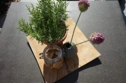 Ploß Rabida Dining Tisch, Champagner-meliert, Polyrattan, 90 X 90 Cm, Glasplatte In Steinoptik -Kettler Verkaufs-Shop 4 20166.jpg