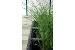 Ploß Rocking Pflanzgefäß, Grau/braun-meliert, Polyrattan, 113x40x70 Cm, Mit 3 Kunststoffeinsätzen -Kettler Verkaufs-Shop 8 20158.jpg